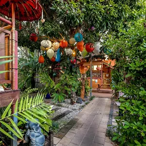 Auberge de jeunesse Travellers Oasis, Cairns